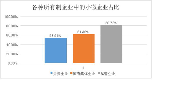 各種所有制企業(yè)中的小微企業(yè)占比