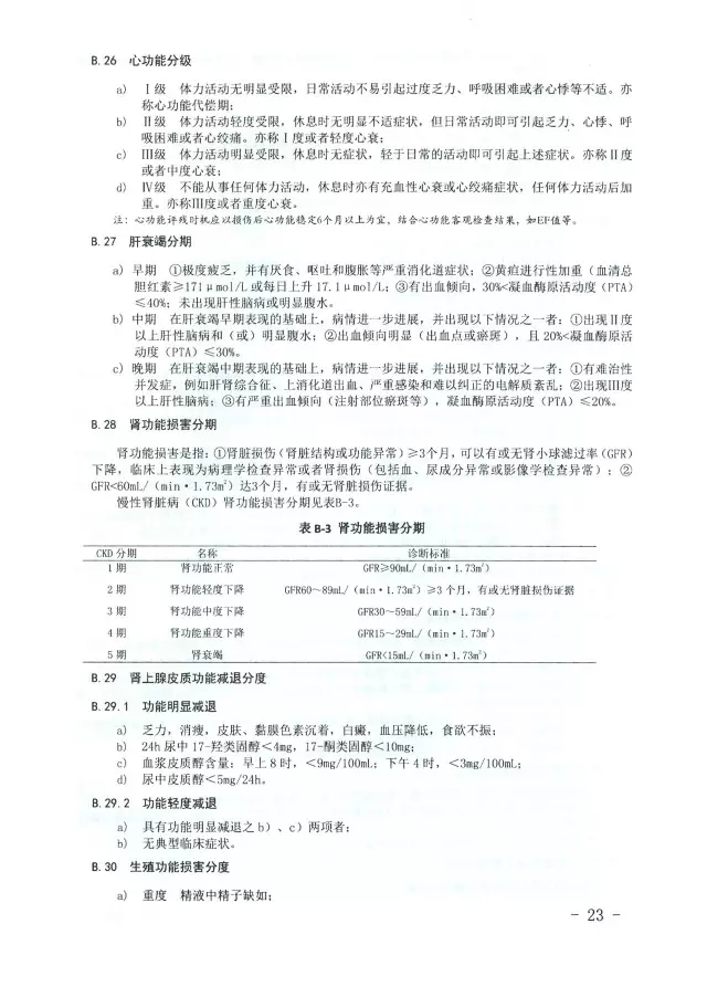 人體損傷致殘程度分級23