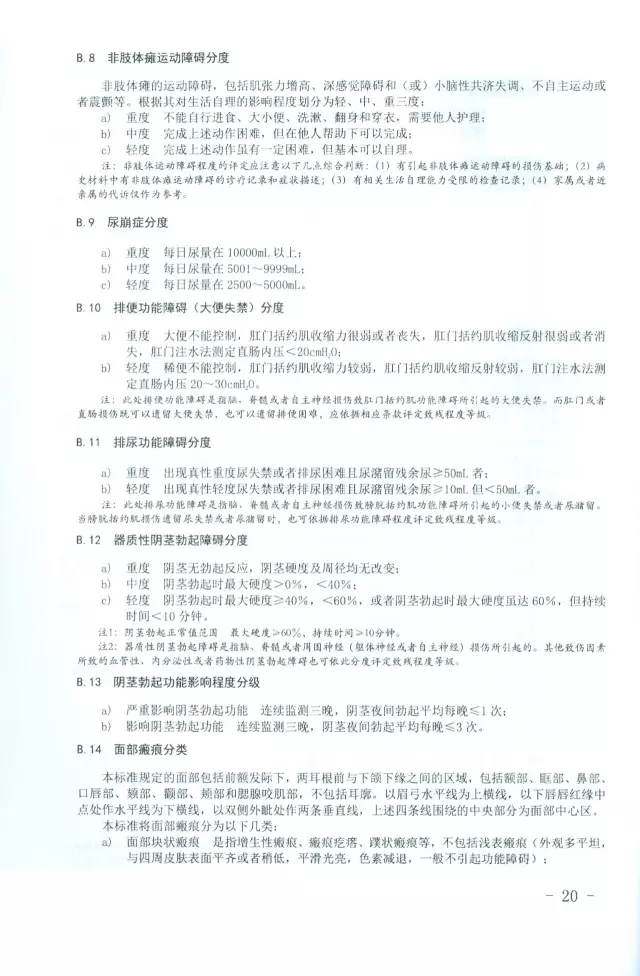 人體損傷致殘程度分級20