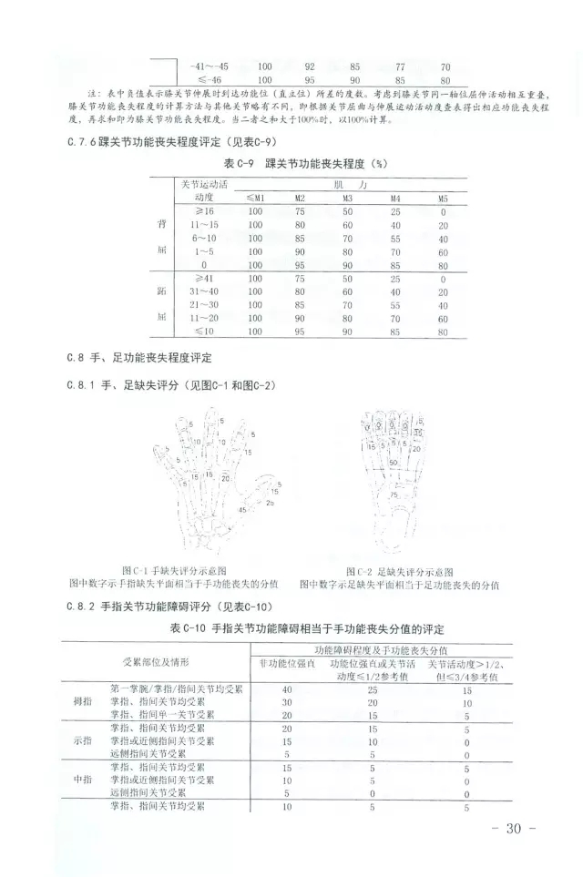 人體損傷致殘程度分級30