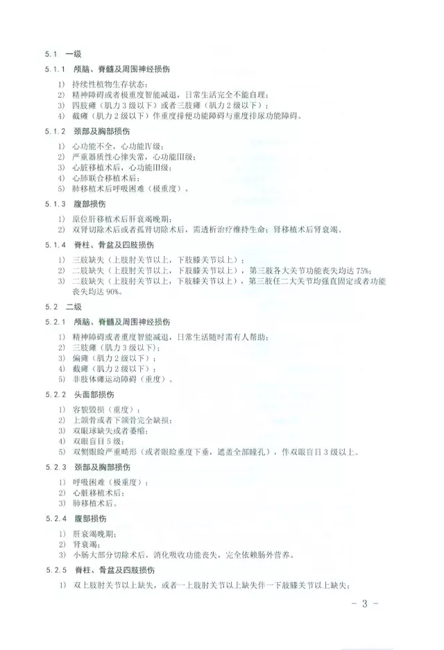 人體損傷致殘程度分級3